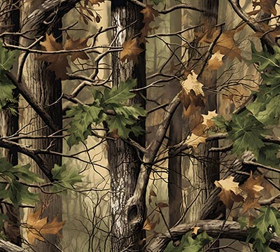 Portfolio Taxonomy Image