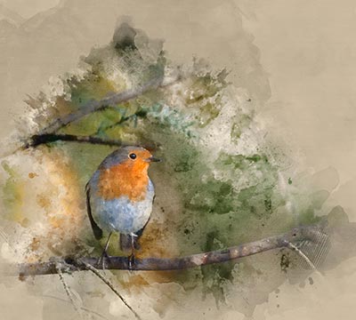 Portfolio Taxonomy Image