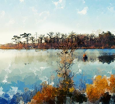 Portfolio Taxonomy Image